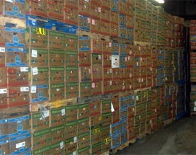 Wholesale Banana Boxes